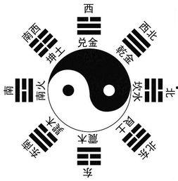 八卦表情,解码社交圈中的隐秘语言