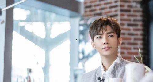 炎亚纶退出娱乐圈,一段璀璨星途的落幕